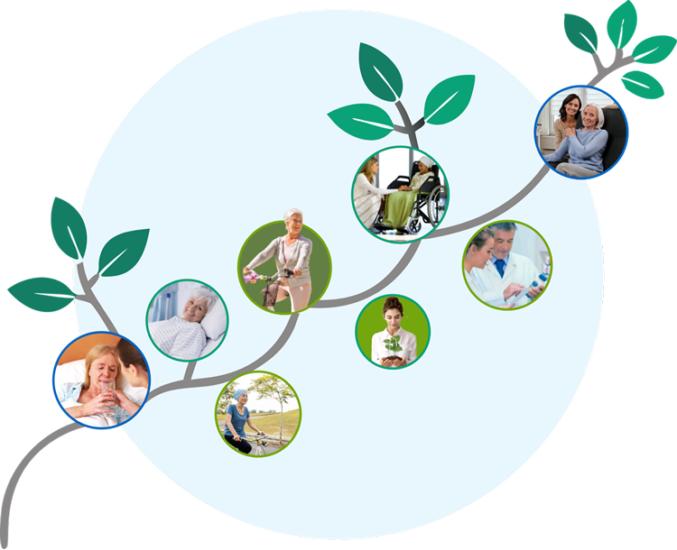 Fresubin®: 50 de ani